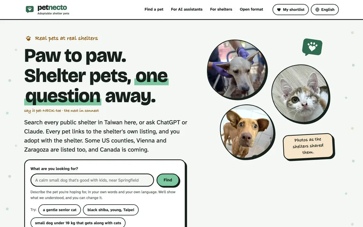 Petnecto on a desktop: the headline “Paw to paw. Shelter pets, one question away.”, a search box and three shelter animals